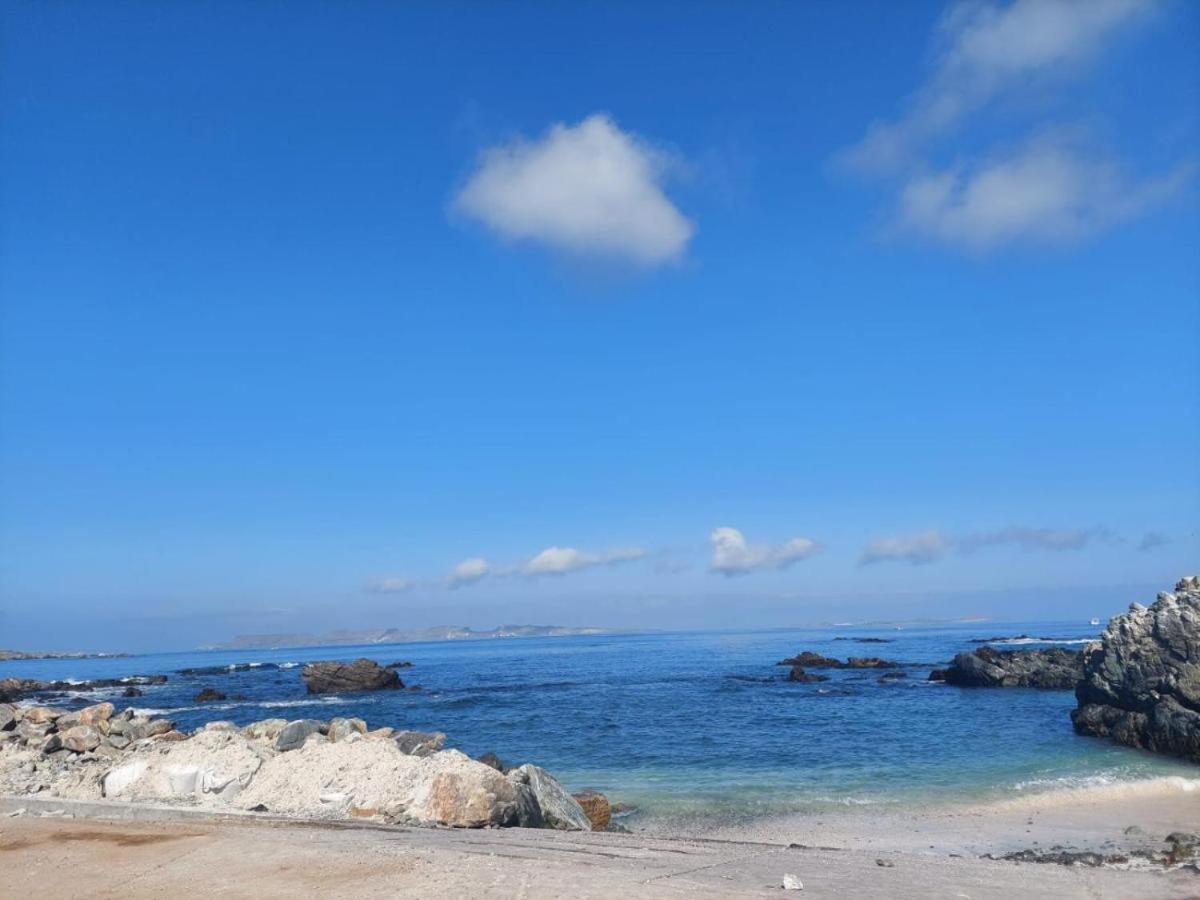 Refugio Del Archipielago Punta de Choros Ngoại thất bức ảnh